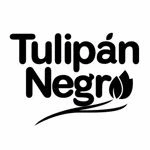 Códigos Tulipán Negro